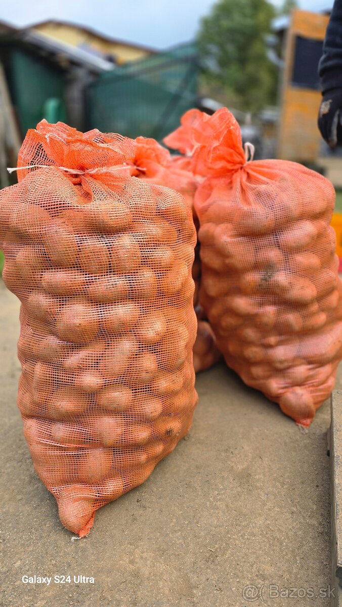 Kŕmne zemiaky po 12 centov za kg