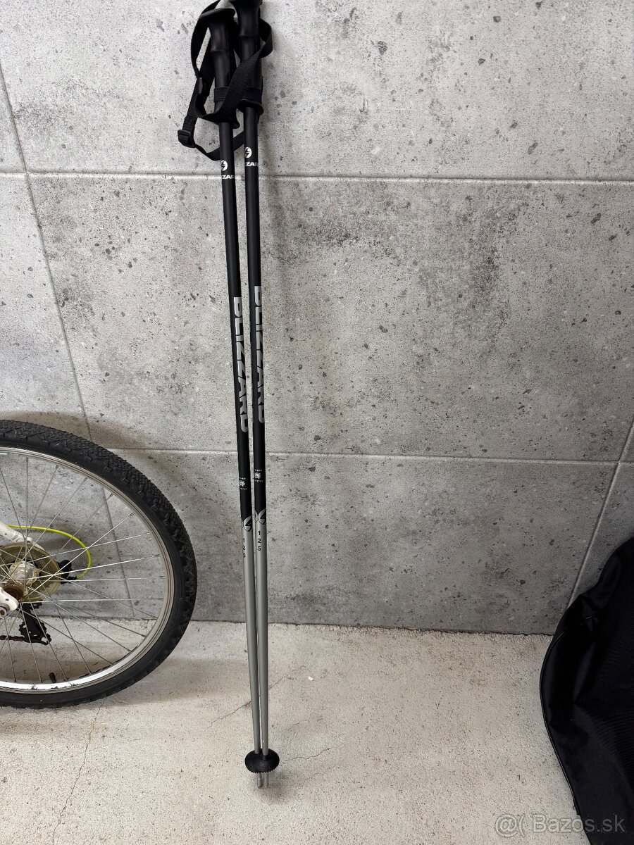 Lyžiarske paličky Blizzard 125