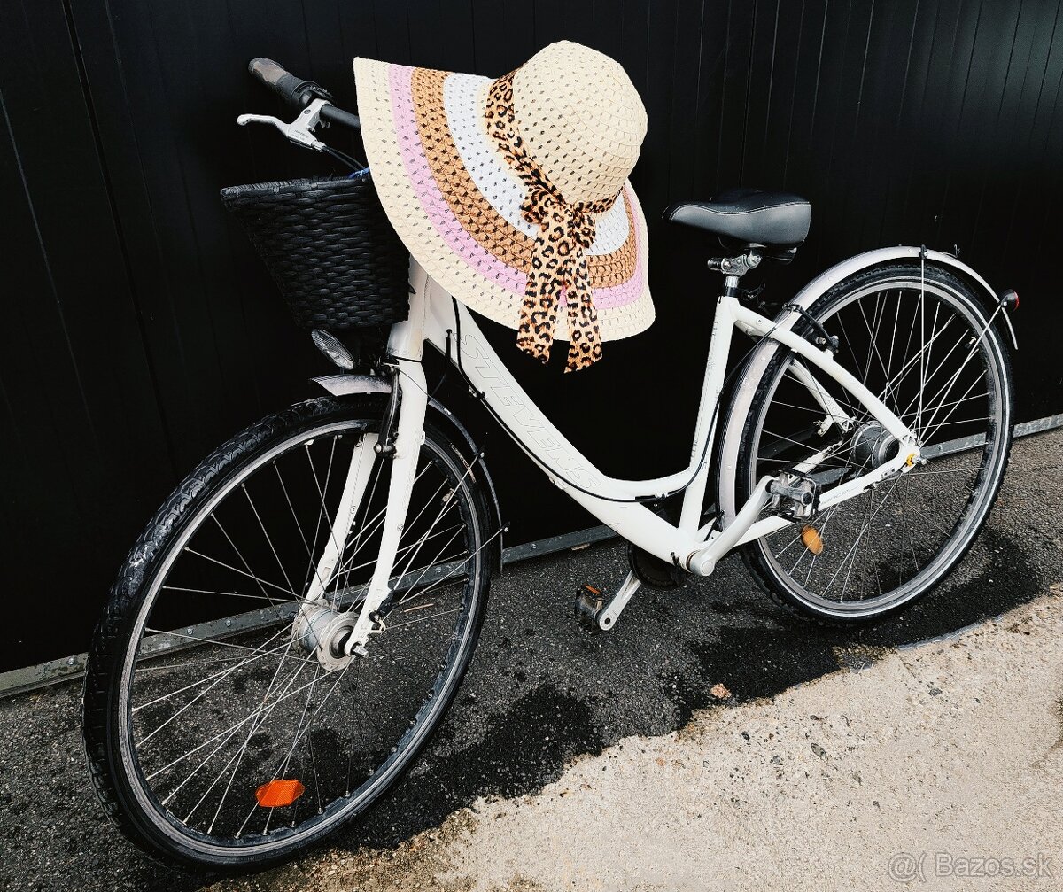 Prekrásny, dámsky bicykel retro Štýl