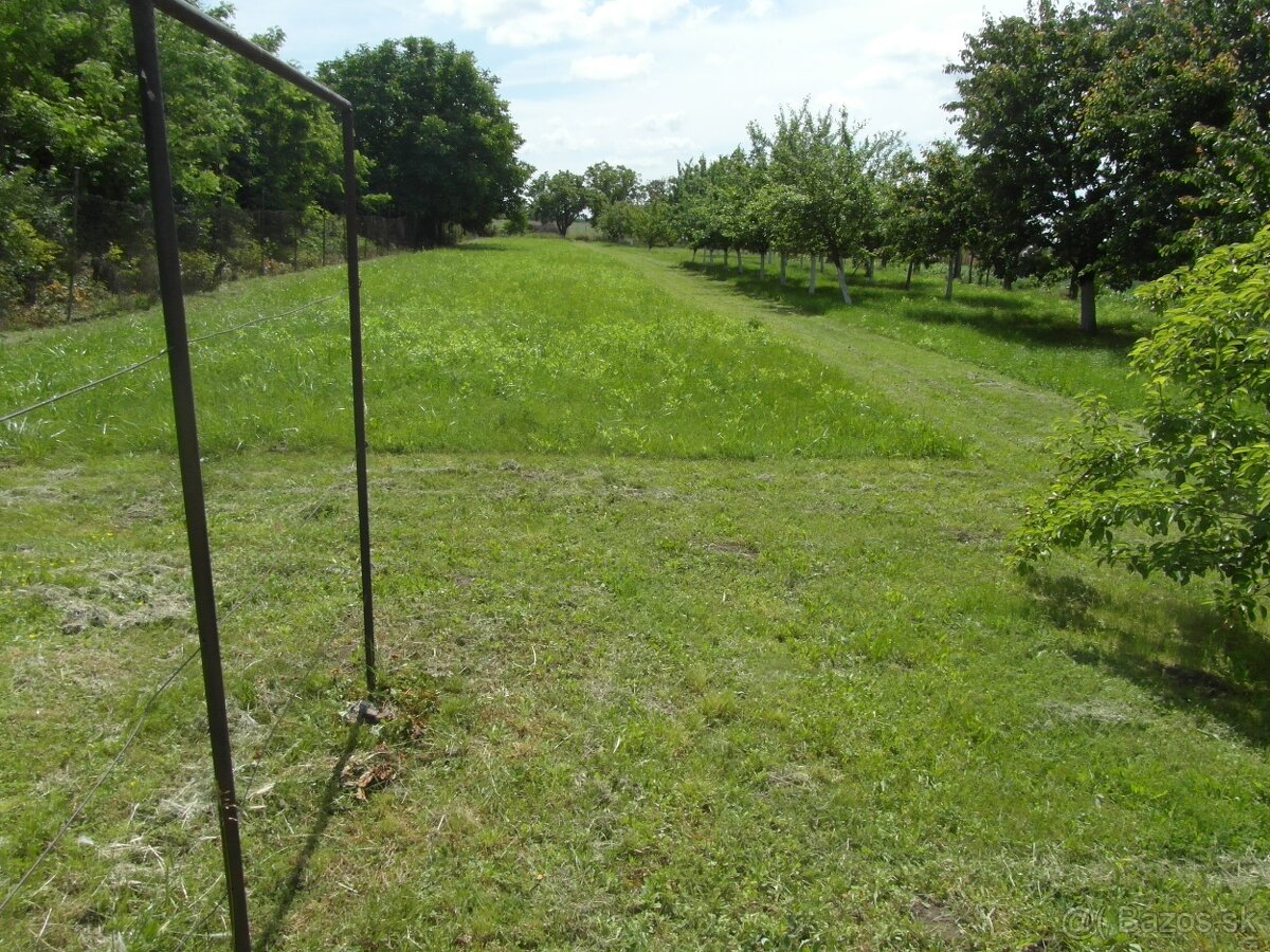 Predaj, stavebný pozemok, Mojzesovo