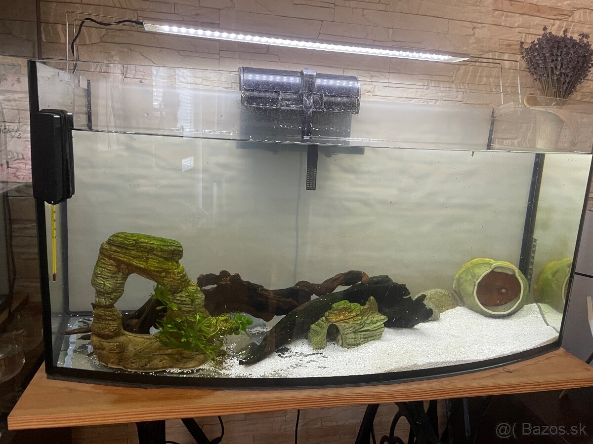 Akvarium