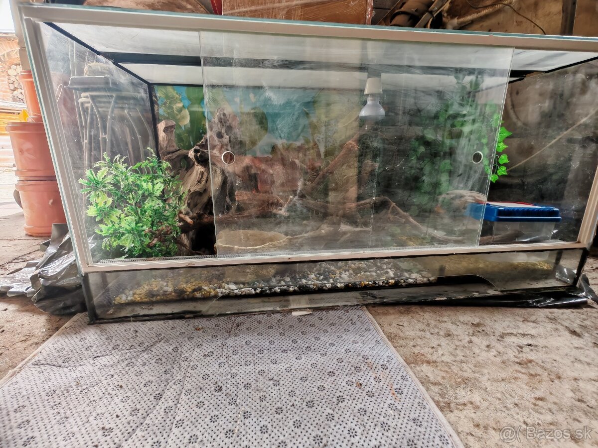 Terarium