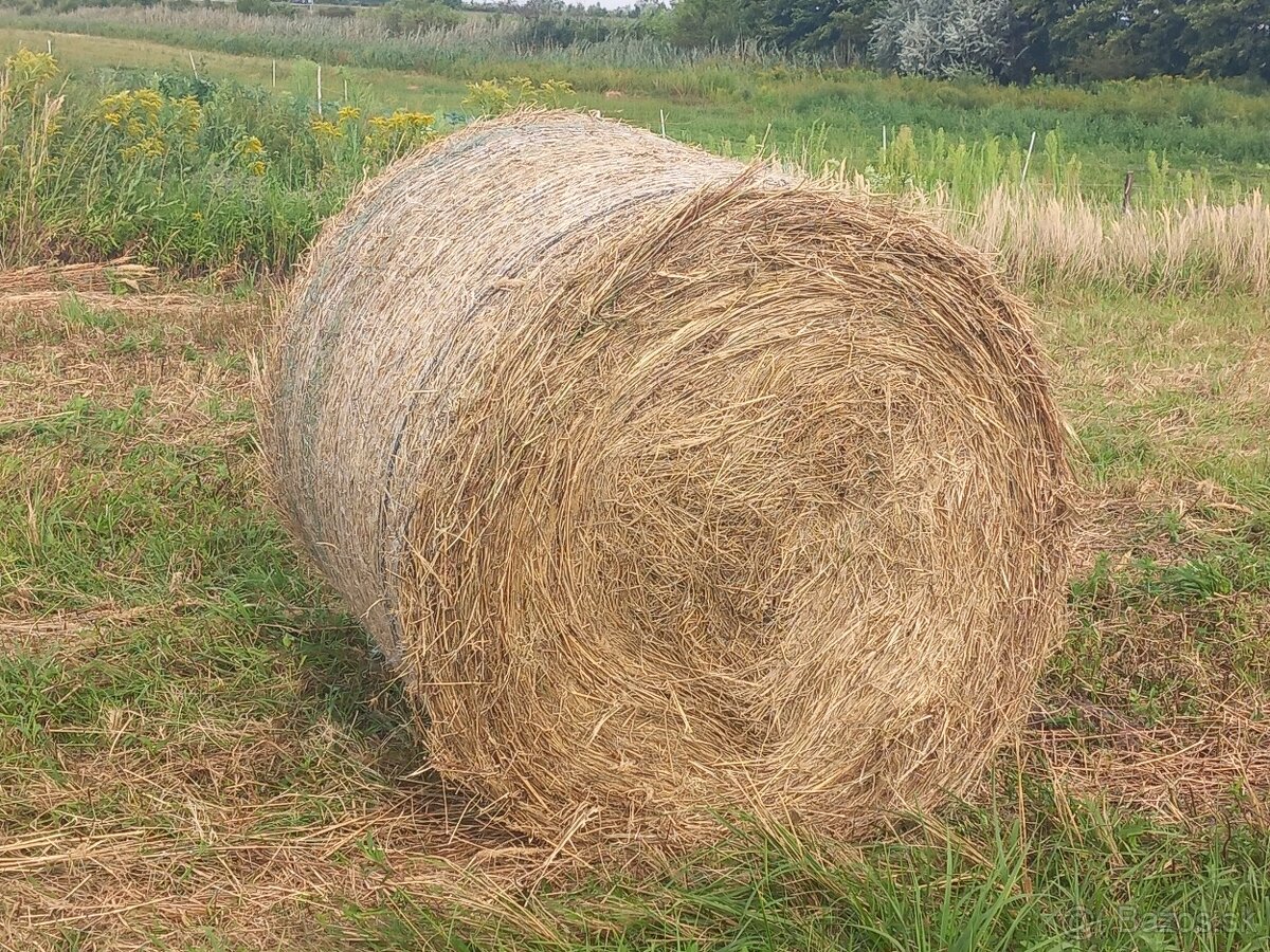 Predám lúčne seno