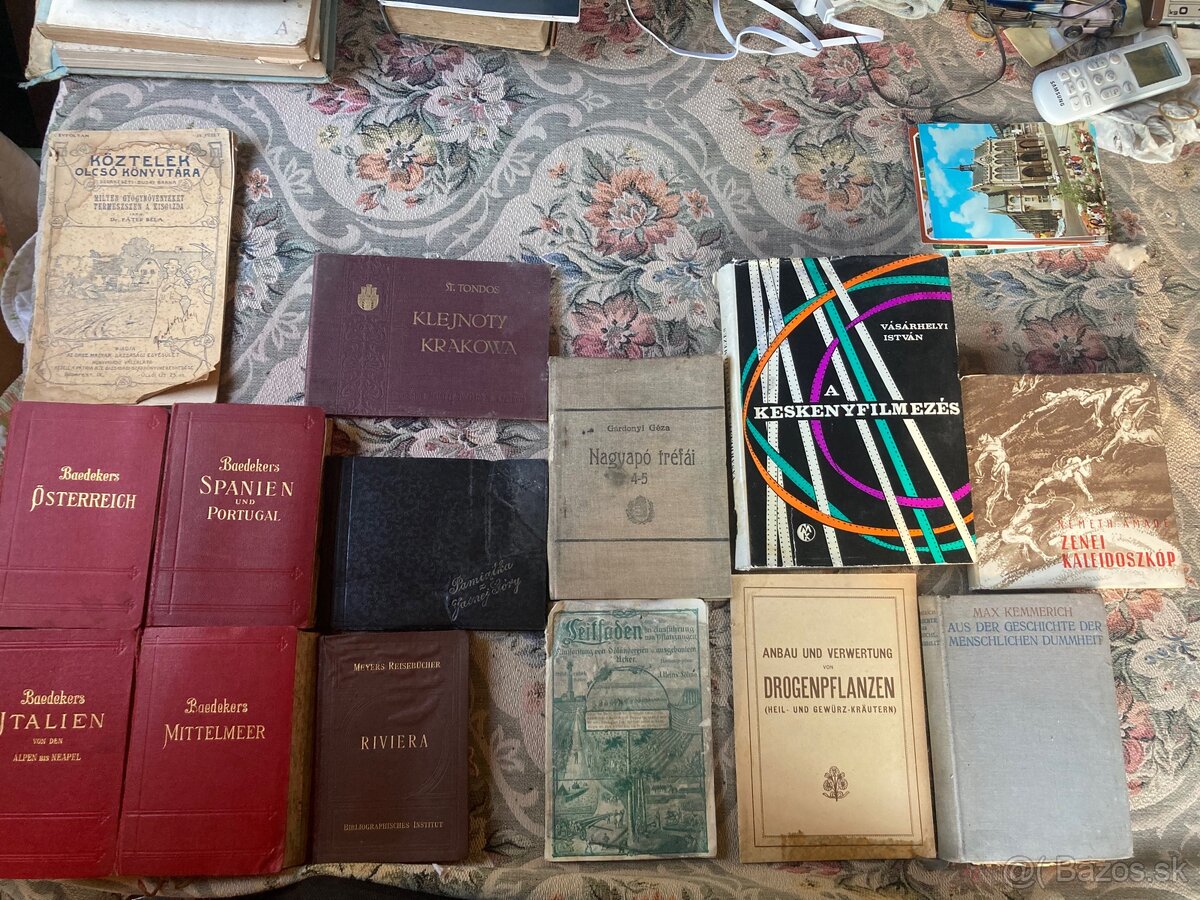 Cudzojazyčná literatúra 2