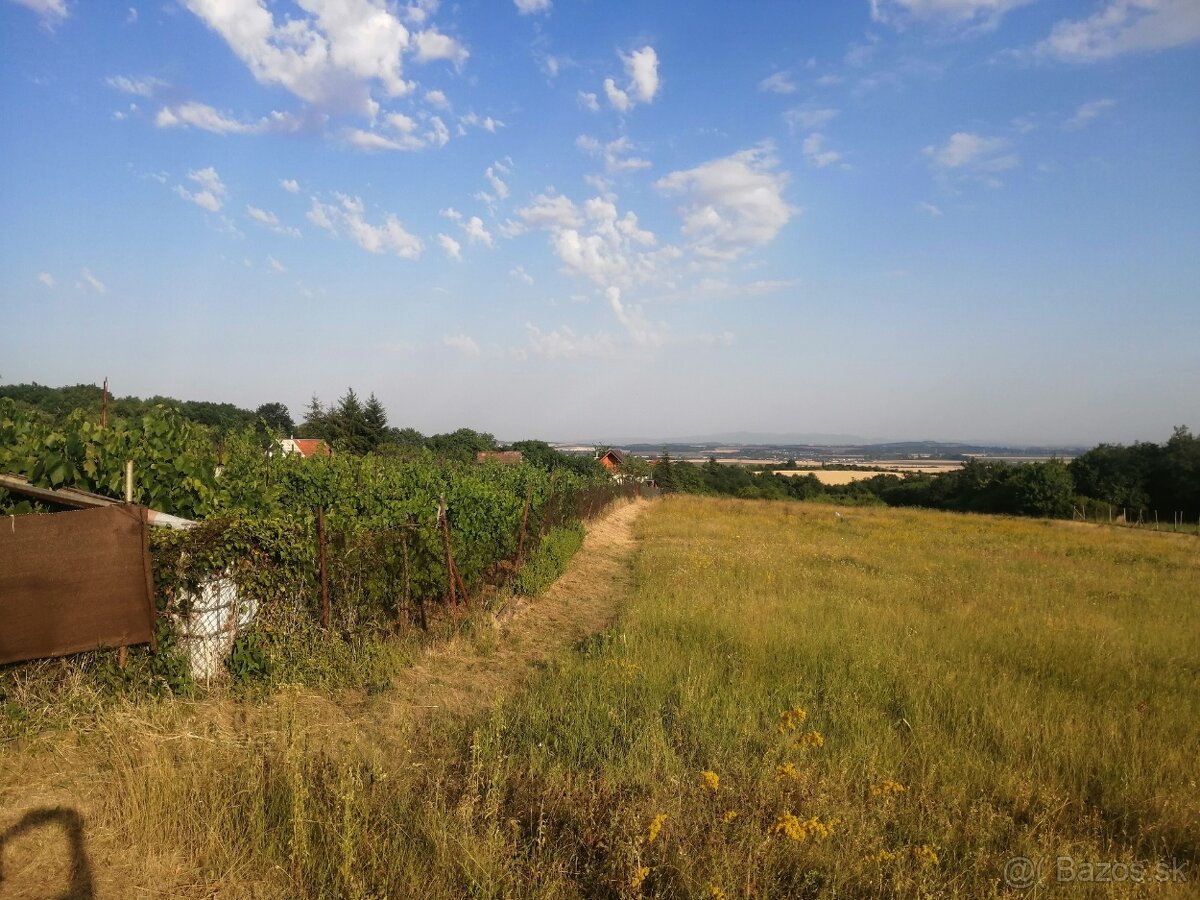 Predaj viničný domček , 646 m2 ,Rybník