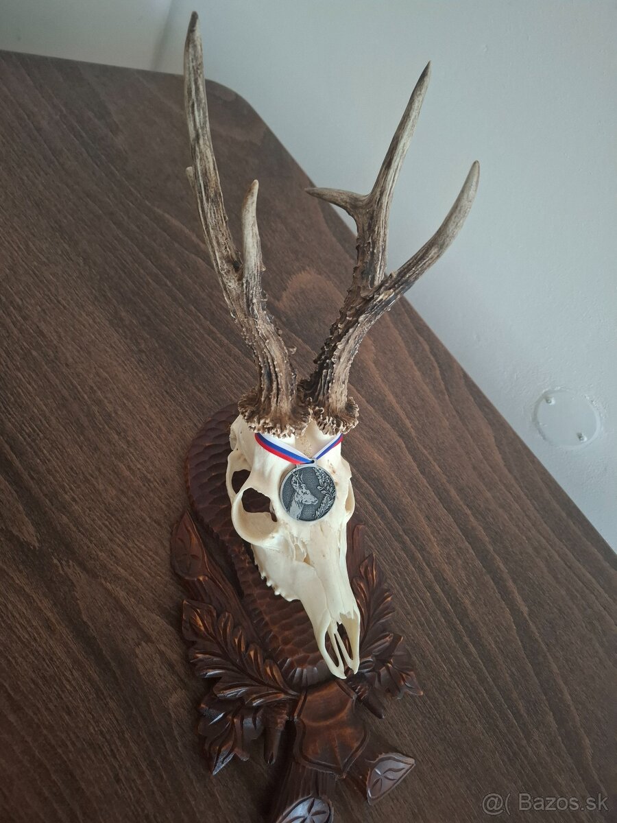 Trofej medailového srnca