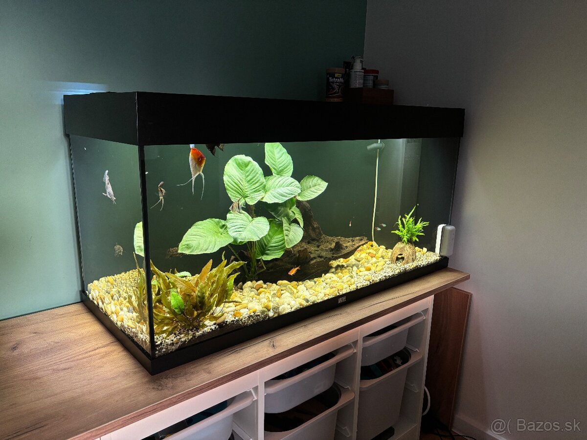 Akvarium JUWEL 200l