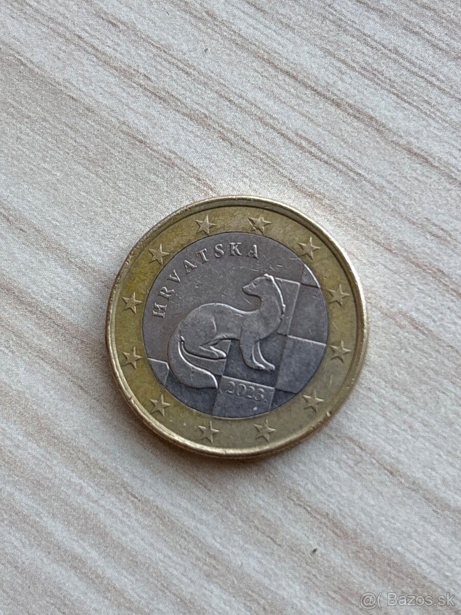 Euro minca