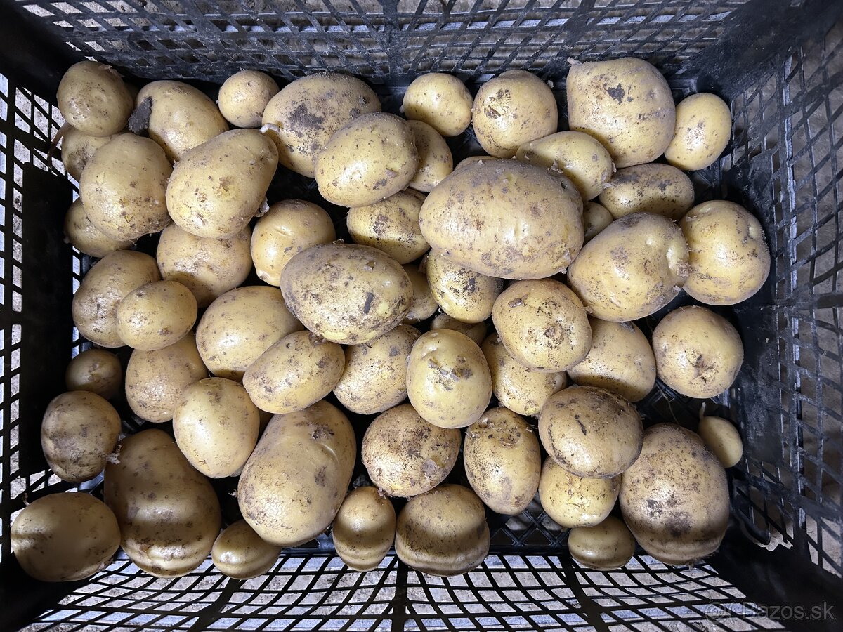 Nove konzumne zemiaky