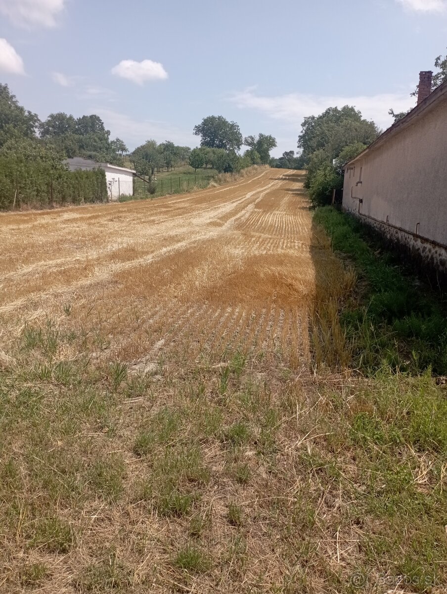 Predaj pozemku, Rakovec nad Ondavou, okres Michalovce
