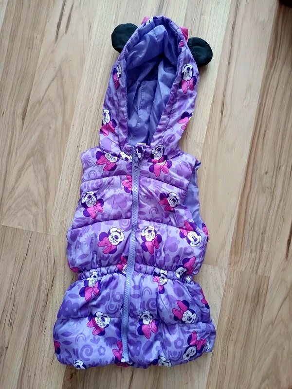Vesta Minnie disney