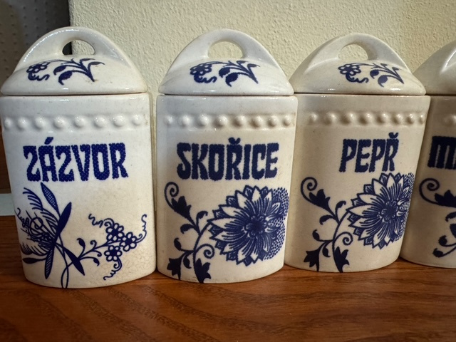 Predám koreničky Cibuľák