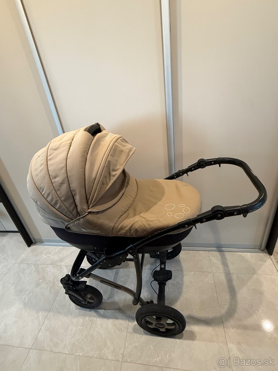 Predam kocik Camarelo