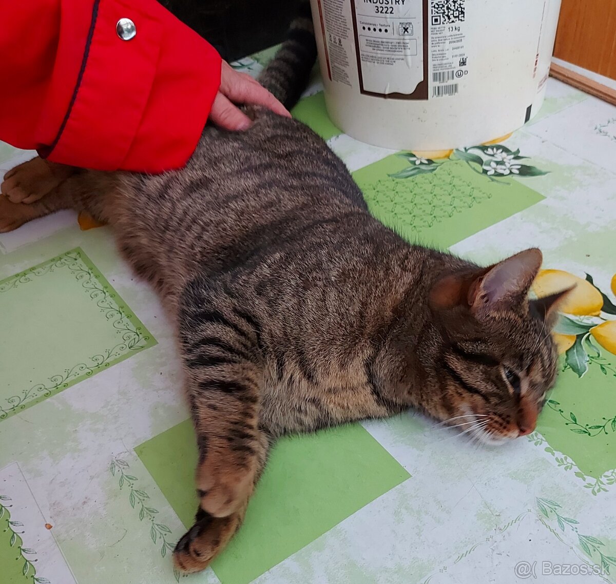 Kryštofko hlada domov