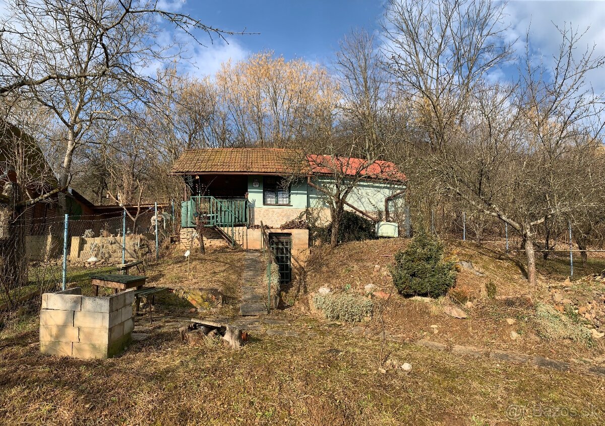 Záhrada