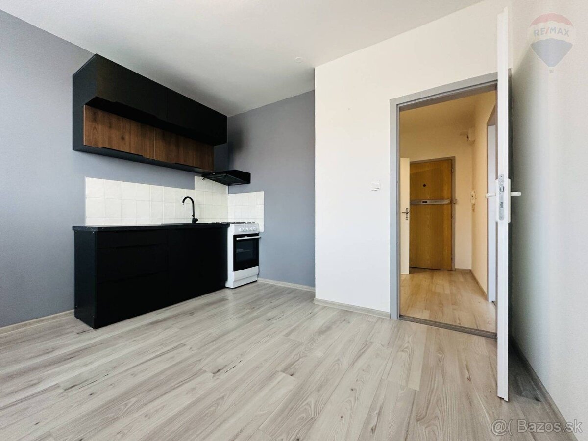PRENÁJOM: 1IZBOVÝ VEĽKOMETRÁŽNY BYT, NOVÁ VES - DUNAJSKÁ STR