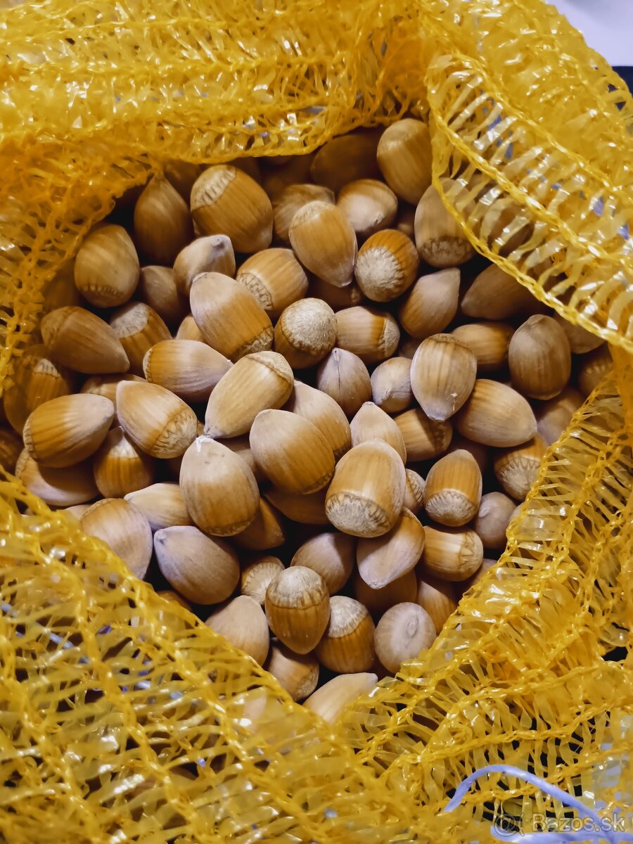 Domáce lieskové orechy - nelupane