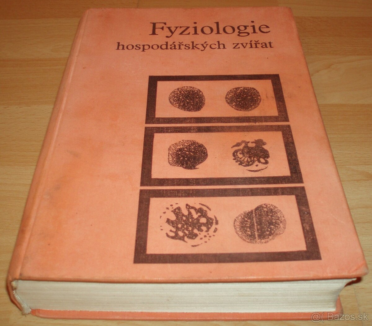 Fyziologie hospodařských zvířat