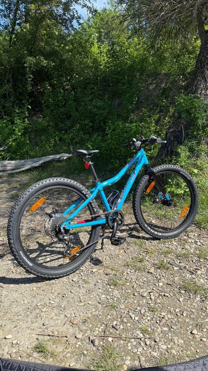 Bicykel Bergamont Revox 24 Lite