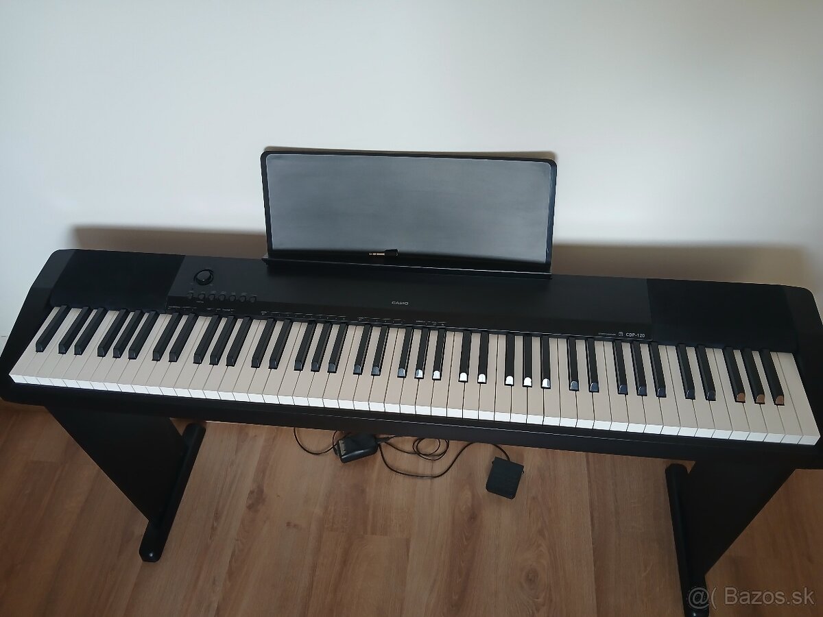 Casio CDP-120