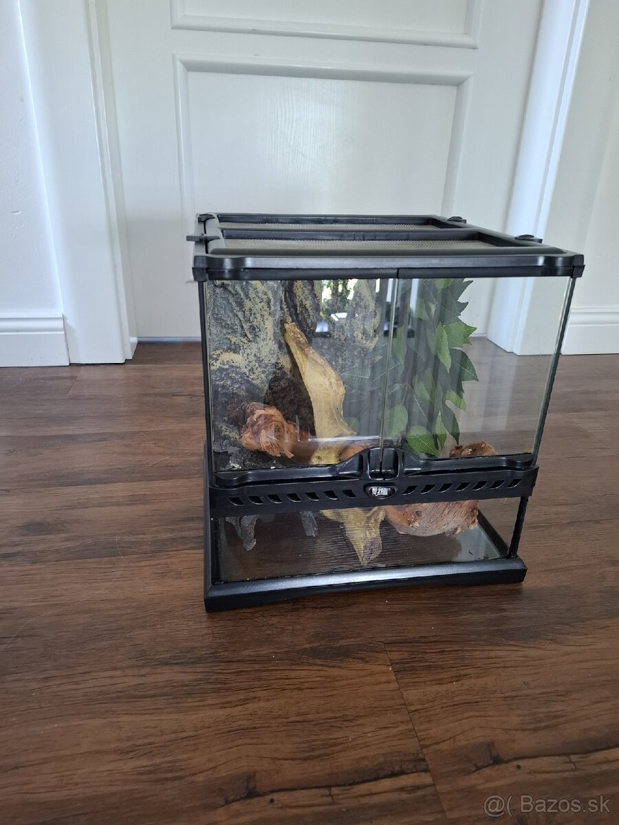 Terarium na predaj 30x30x30