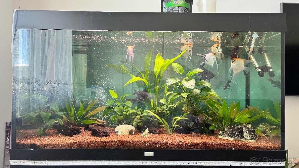 Predám Juwel Rio 350