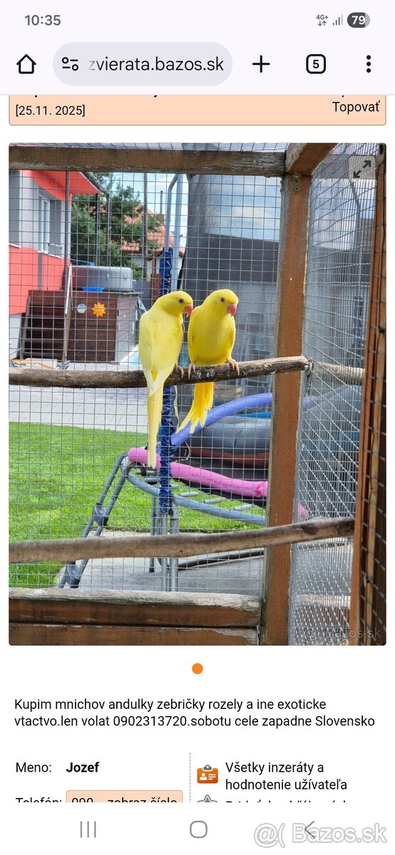 Kupim mnichov andulky a ine