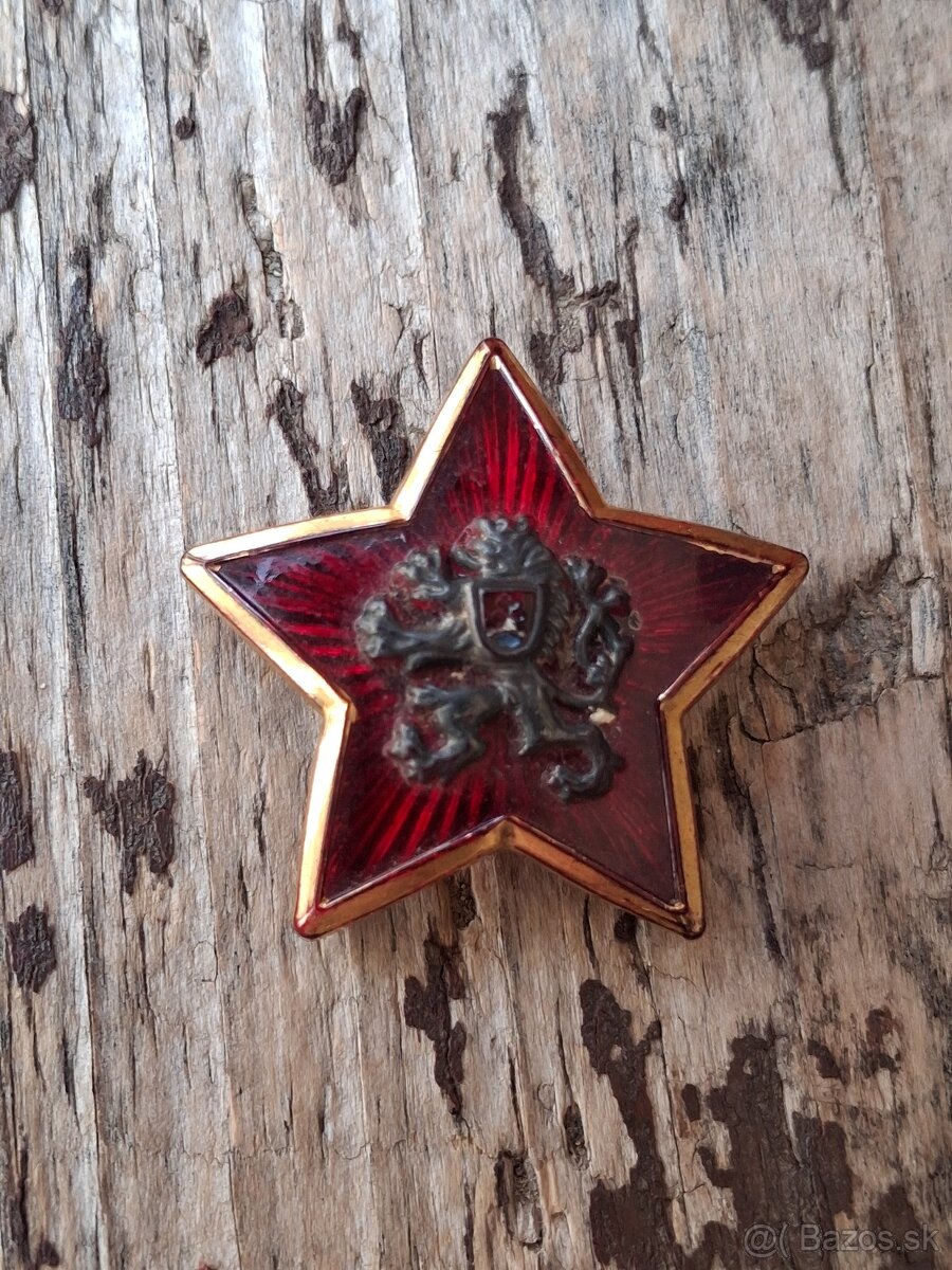 Odznak na čs.brigadirku