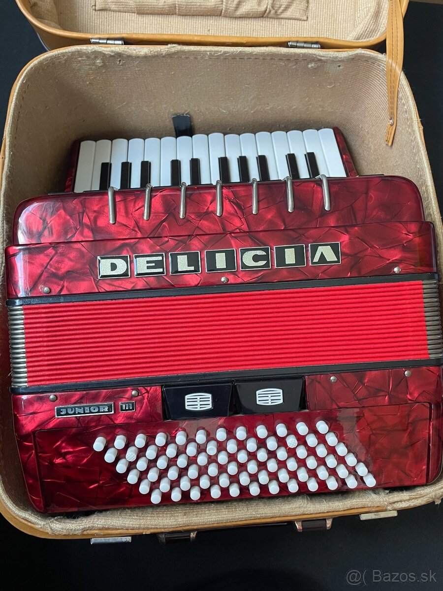 Akordeón DELICIA Junior 72