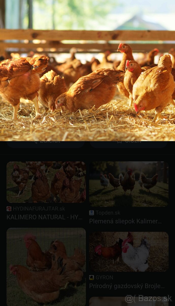 Kalimero