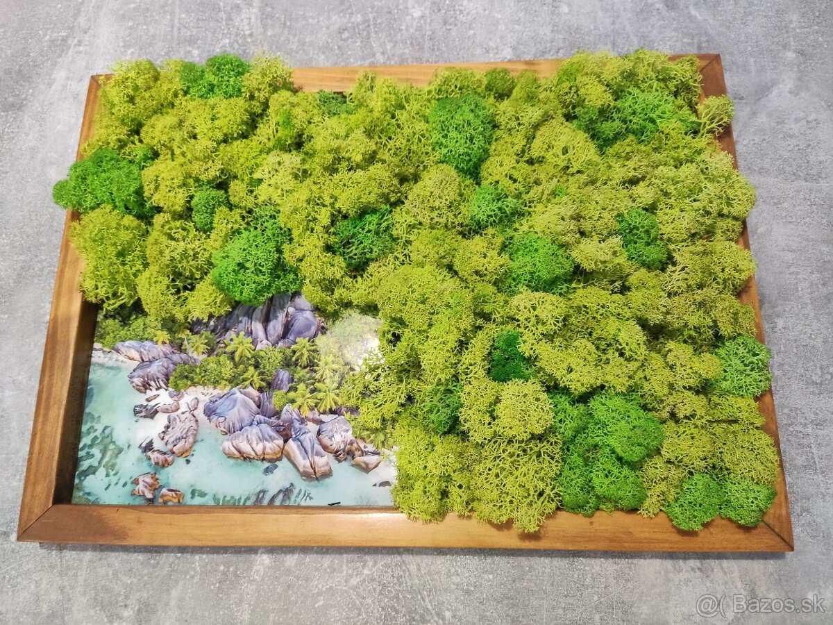 Machový obraz 40x29 cm