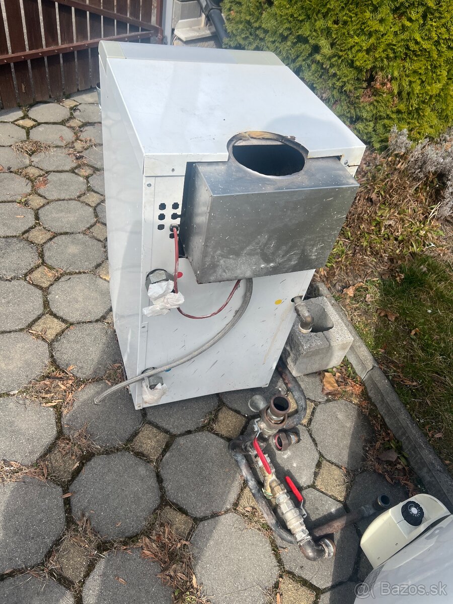 Protherm medved
