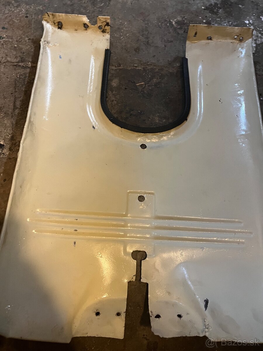 Reumaplechy na pioniera