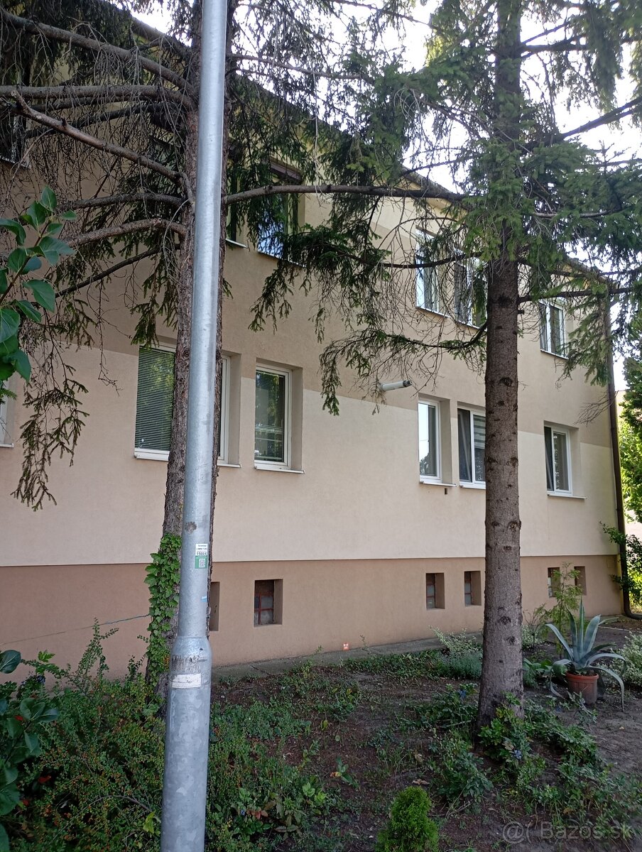 NOVÉ ZAMKY  - 3 Izbový byt s garážou a záhradou na predaj