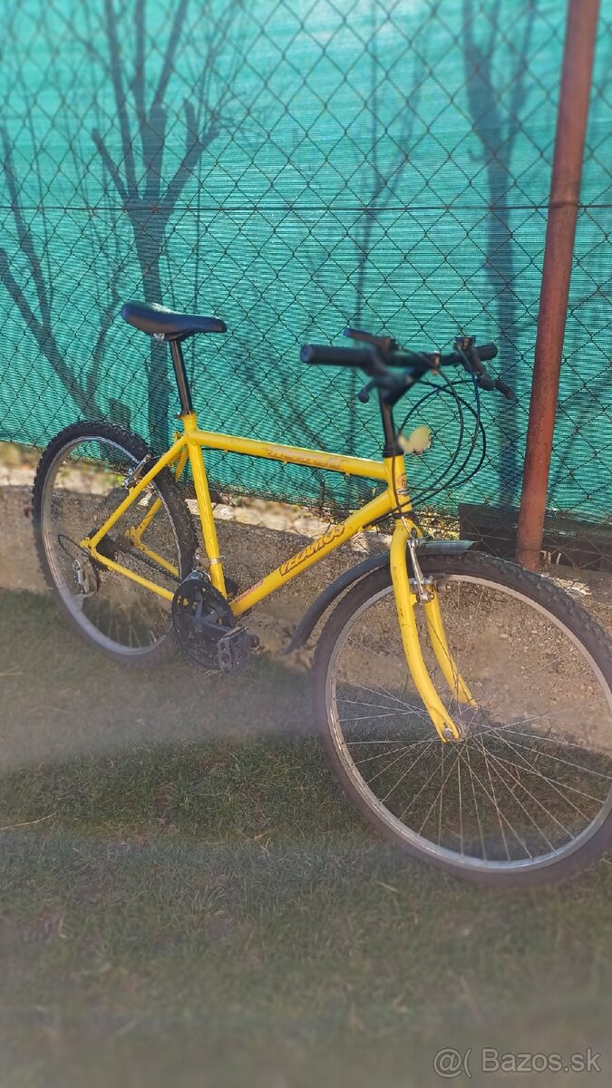 Velamos Magnus žltý