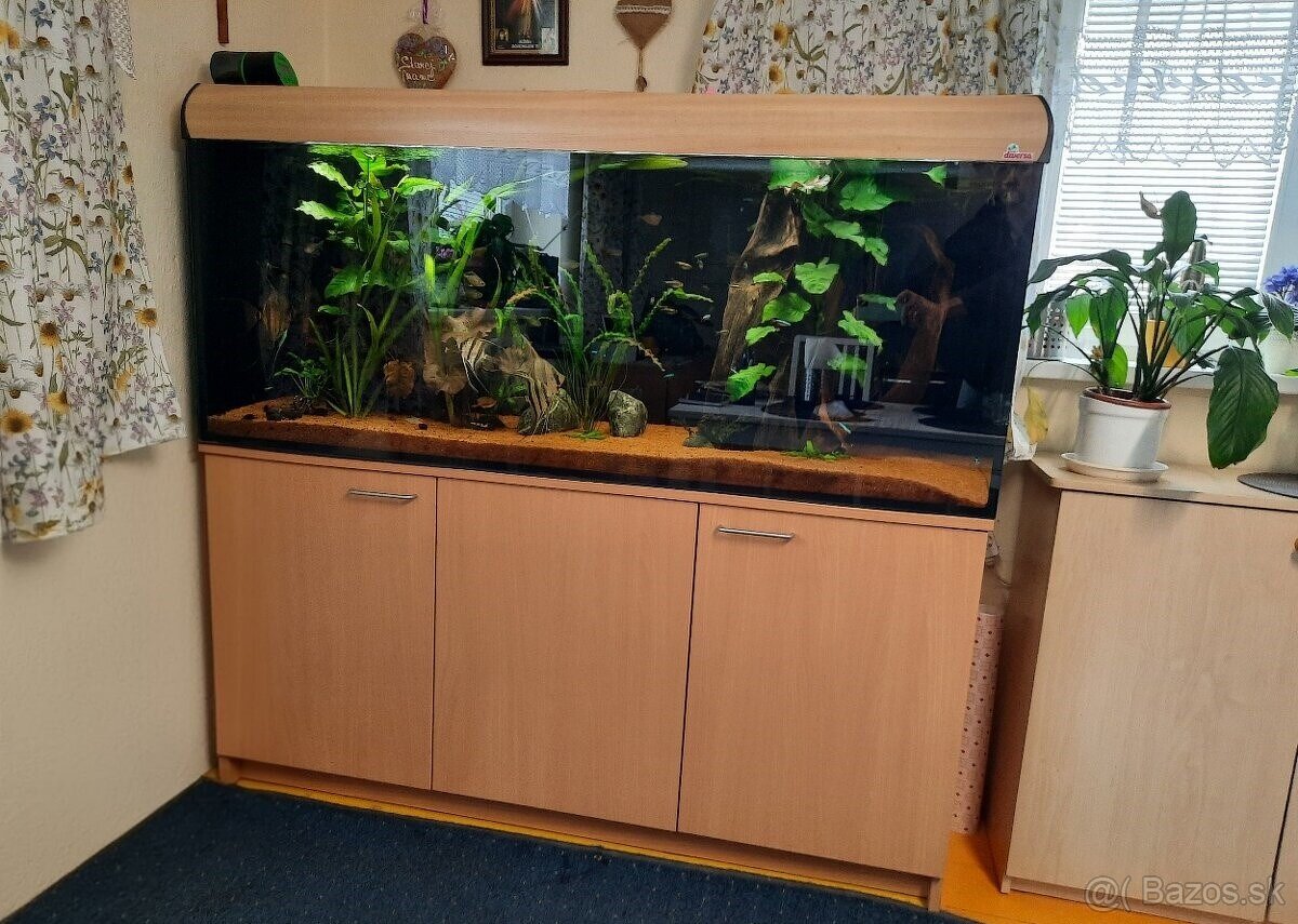Akvárium 450L Diversa + skrinka + filter + JBL UV lampa +