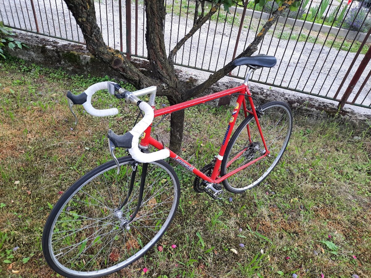 Favorit  F1 special, Campagnolo