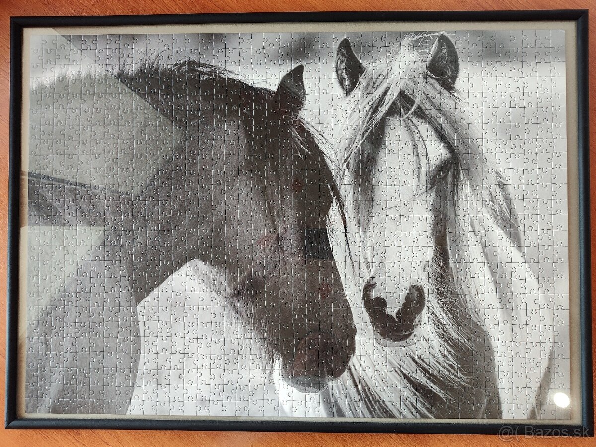 Puzzle 8 / 9: Kone + rám 50x70 so sklom