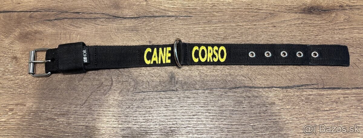 Obojok pre cane corso