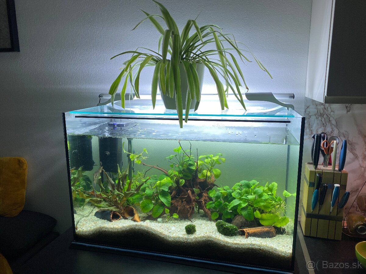 Rezervované: Akvarium 120l