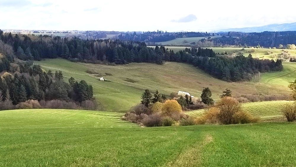 Pozemok v Liptovskom Mikuláši časť Okoličné na predaj ID: 05