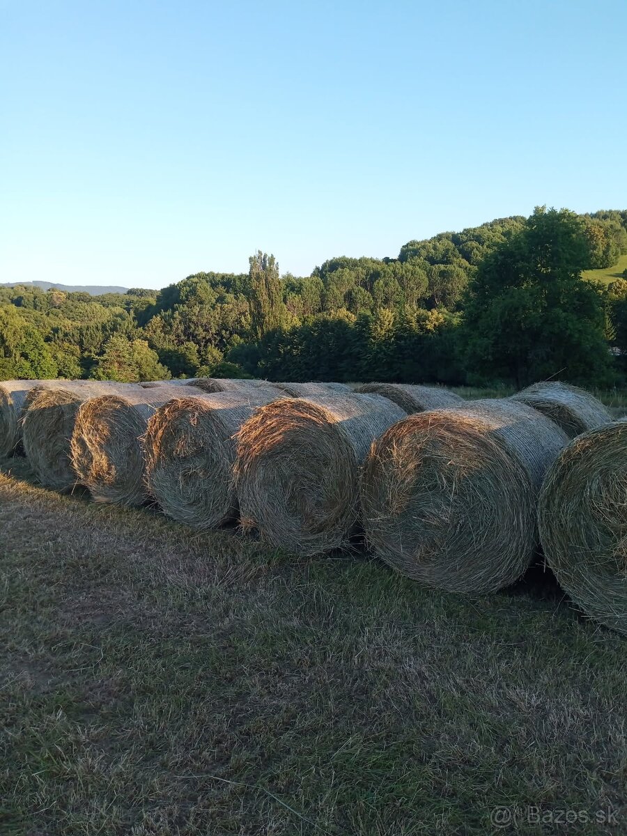 Veľké senove balíky.