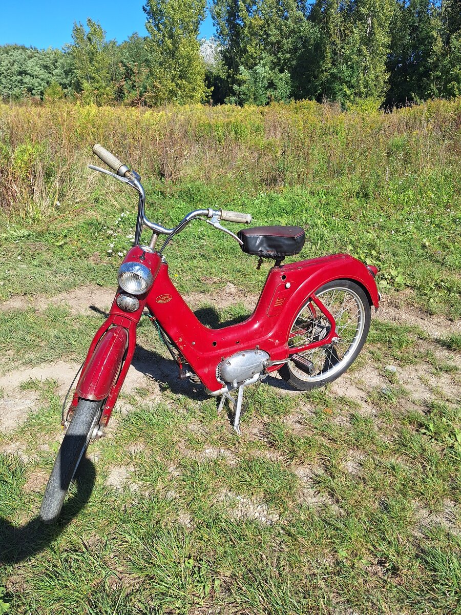 Jawetta 551