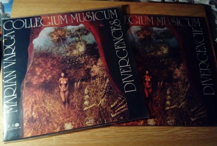 Collegium Musicum