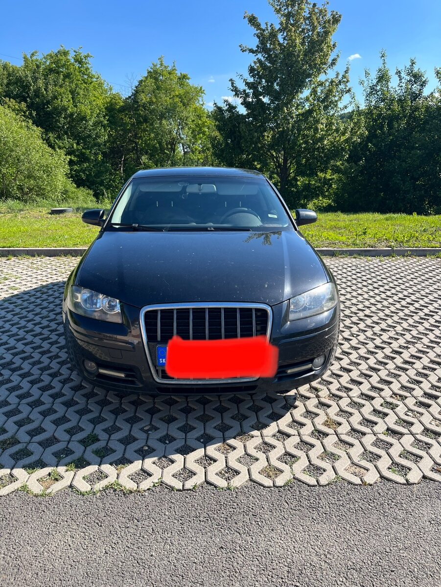 Audi A3-1.9 TDi(S line)