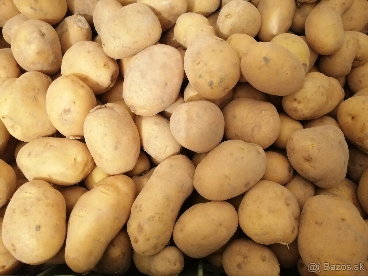 Predám zemiaky