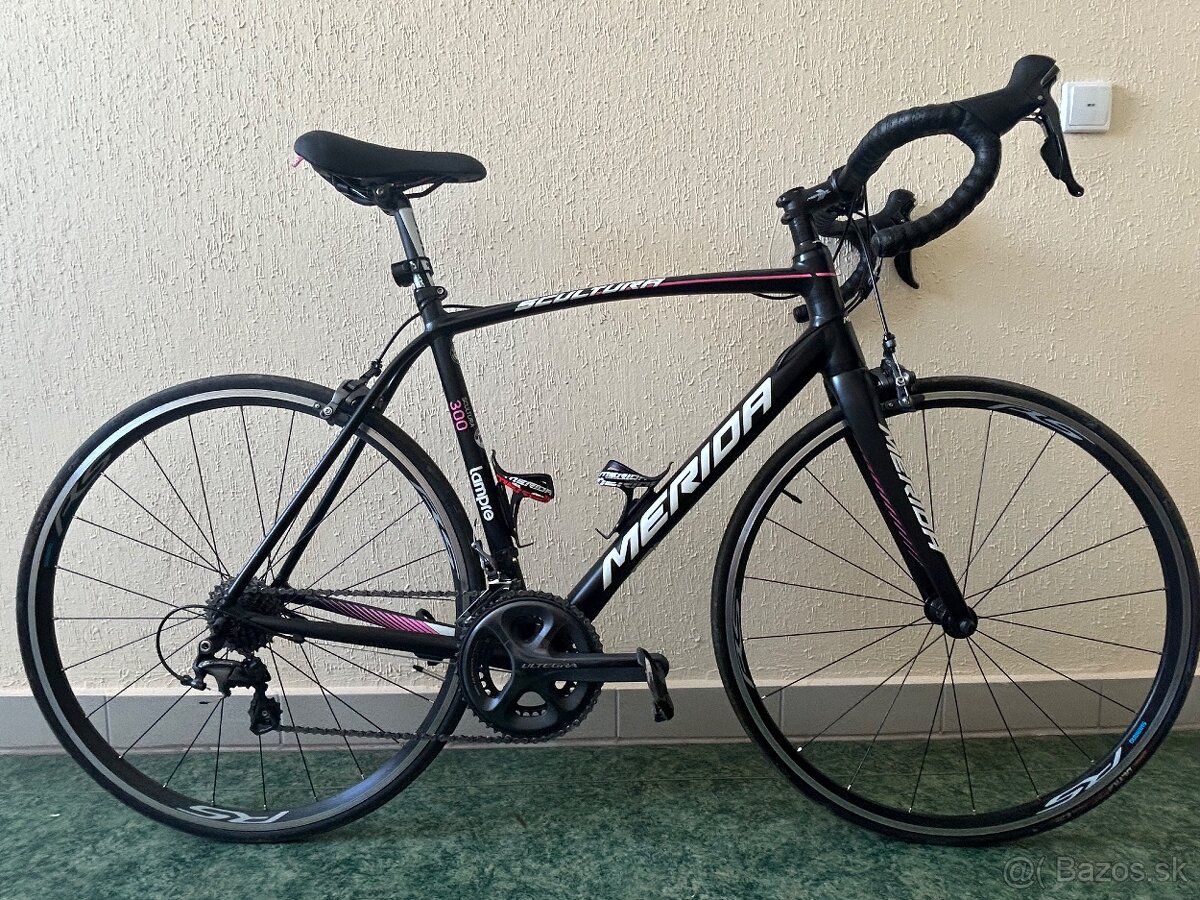 Merida Scultura Lampre