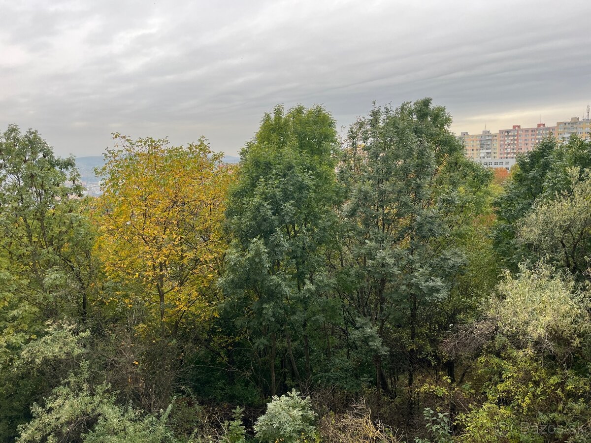 NOVINKA - MODERNÝ, KRÁSNY 3 IZBOVÝ BYT S LOGGIOU