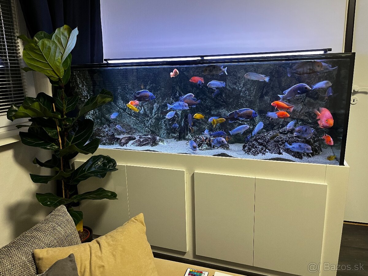 Predám Akvárium 680 L