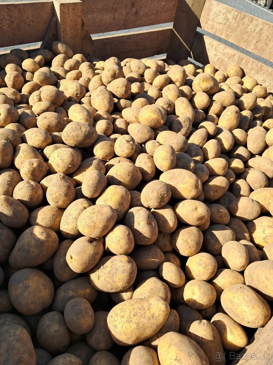 Zemiaky 0,49€-kg, cibuľa 0,85€